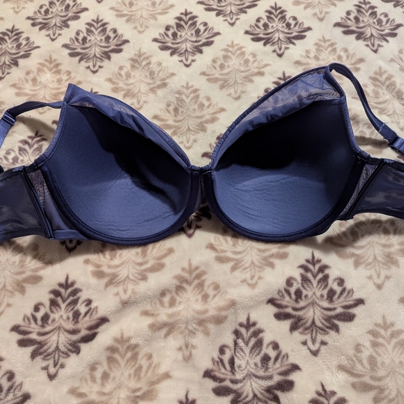 Victoria's Secret Blue Sheer Mesh Push-Up Bra 36DDD - Picture 2 of 5